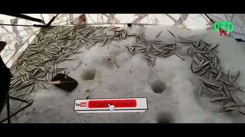 Рыбный закрыл