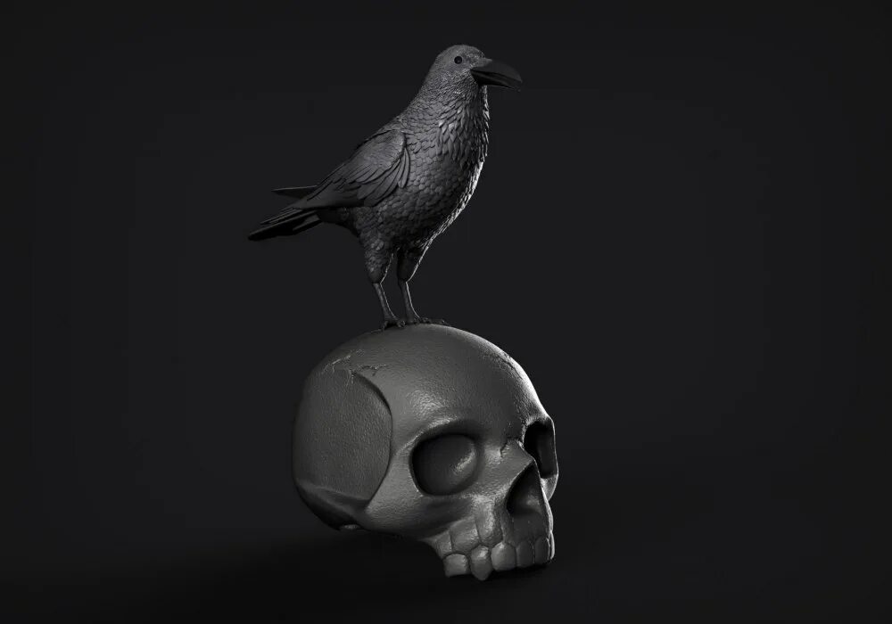 Вороны 3 часа. Raven Skull 3d model. Ворон 3. Ворона 3d. Череп ворона 3д.