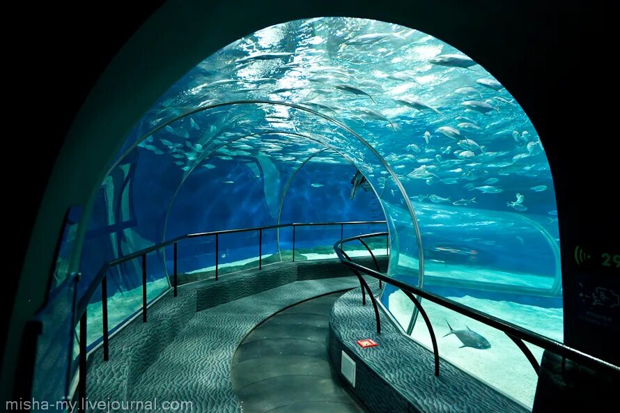 Океанариум шанхай. Шанхай океанариум. Океанический аквариум в Шанхае. Океанариум Казань снаружи. Океанариум 1.
