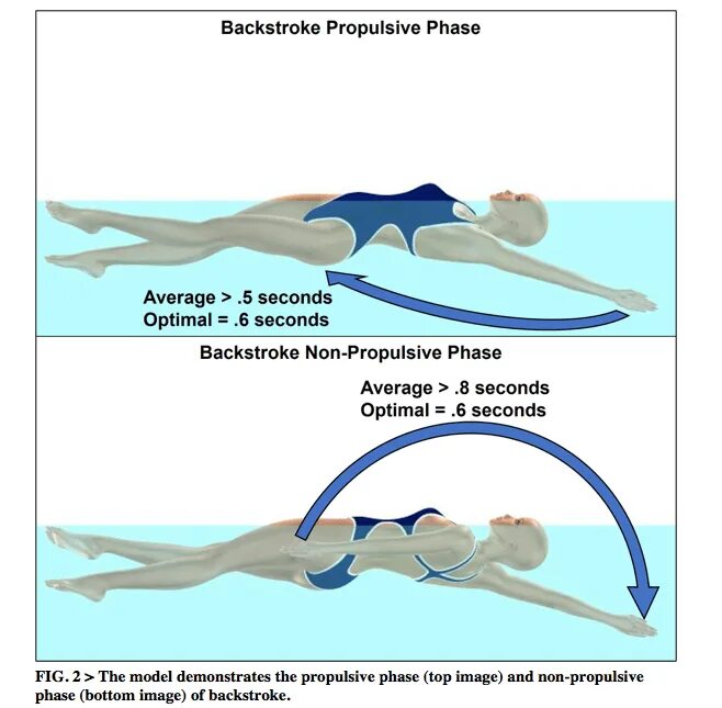 Swimmer перевод. Backstroke. Backstroke swimming. Breaststroke swimming technique. "Озеро"/"Backstroke.