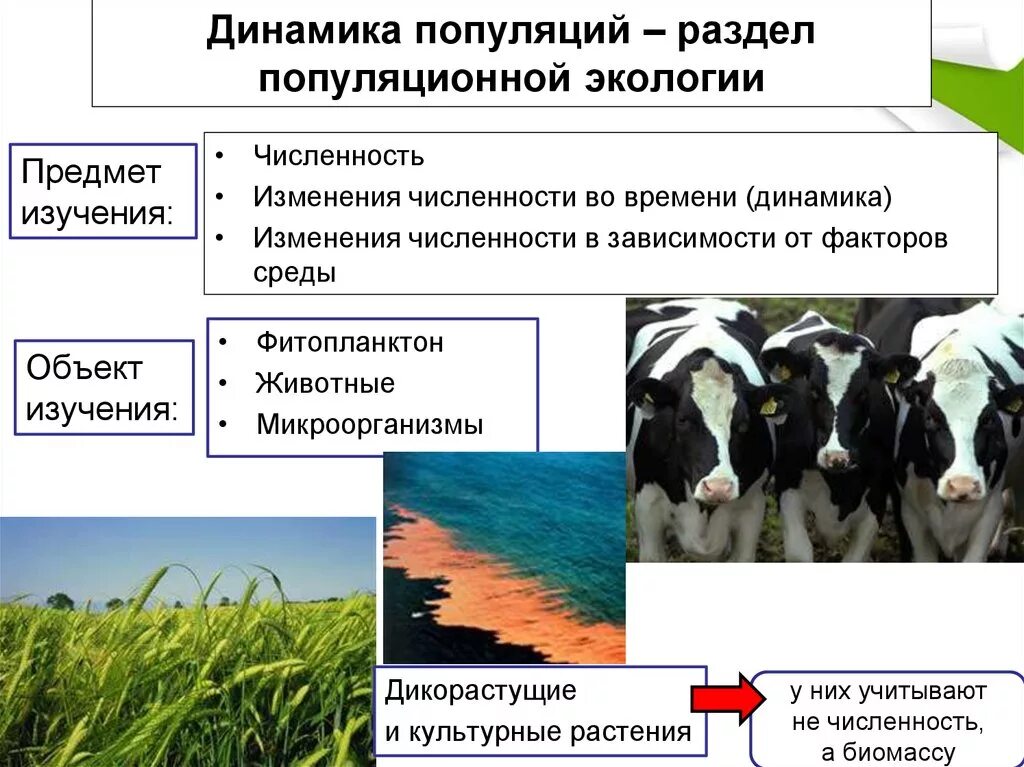 Методы изучения популяций. Параметры динамики популяции. Динамика популяций это в экологии. Динамика популяции животных.