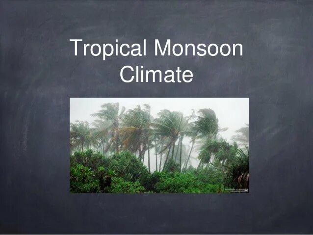 Мунсун климат. Monsoon 100 мм ширина. Monsoon Power. Фото тропический Муссон.