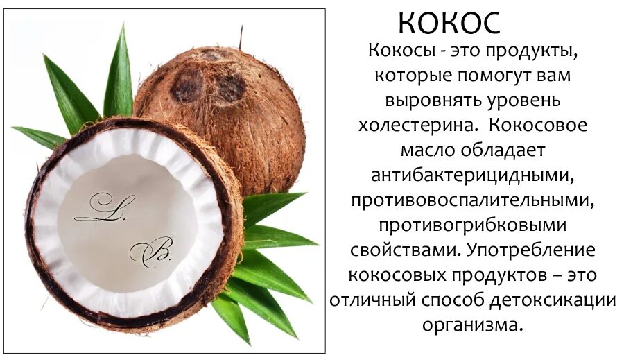 Структура кокоса. Строение кокоса. Кокосовые продукты. Строение кокоса в разрезе. Кокос польза для организма