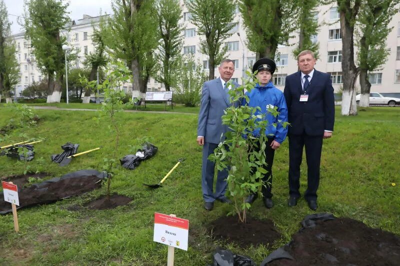 Белая аллея архангельск. Белая аллея архангельск