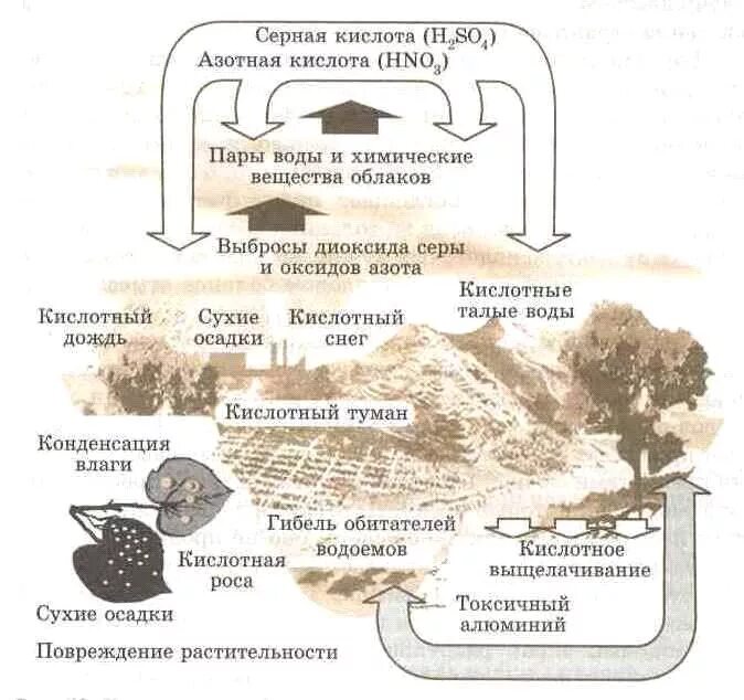 Схема механизм образования кислотных осадков. Схема образования кислотных дождей. Схема образование кислотных осадков азот. Кислотные дожди схема загрязнение.