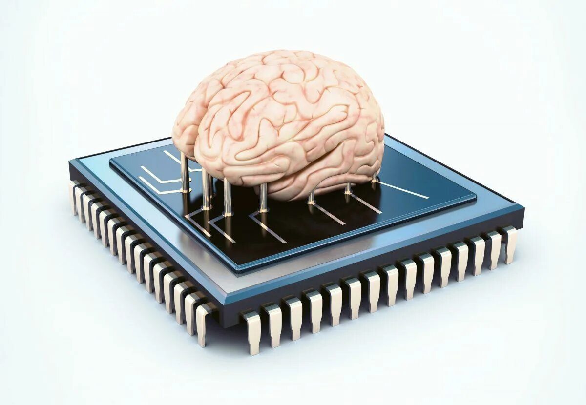 Мозг компьютера. Процессор мозг компьютера. Мозг компьютера микропроцессор. Процессор 3д.