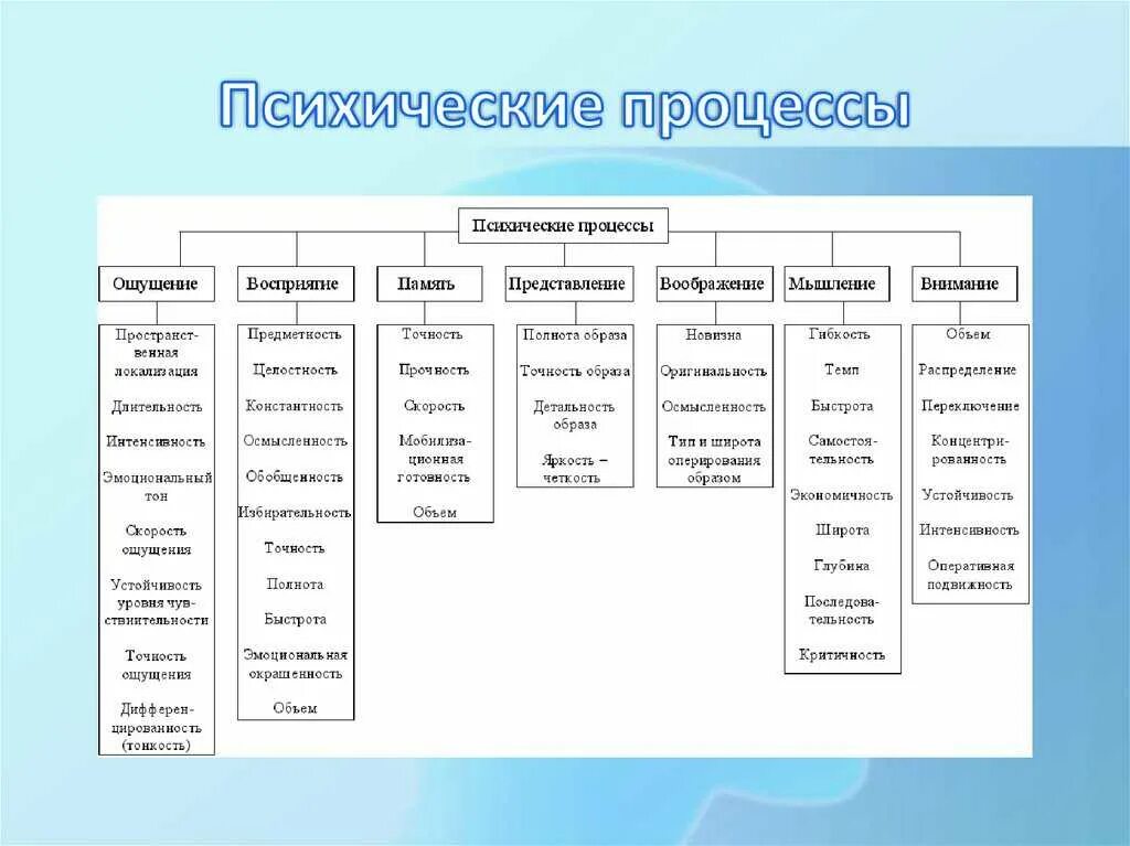 Ощущения память мышление воображение восприятие. Классификация психических процессов Рубинштейн. Классификация психических процессов таблица. Приведите в соответствие психические процессы и их закономерности:. Общая психология психические процессы.