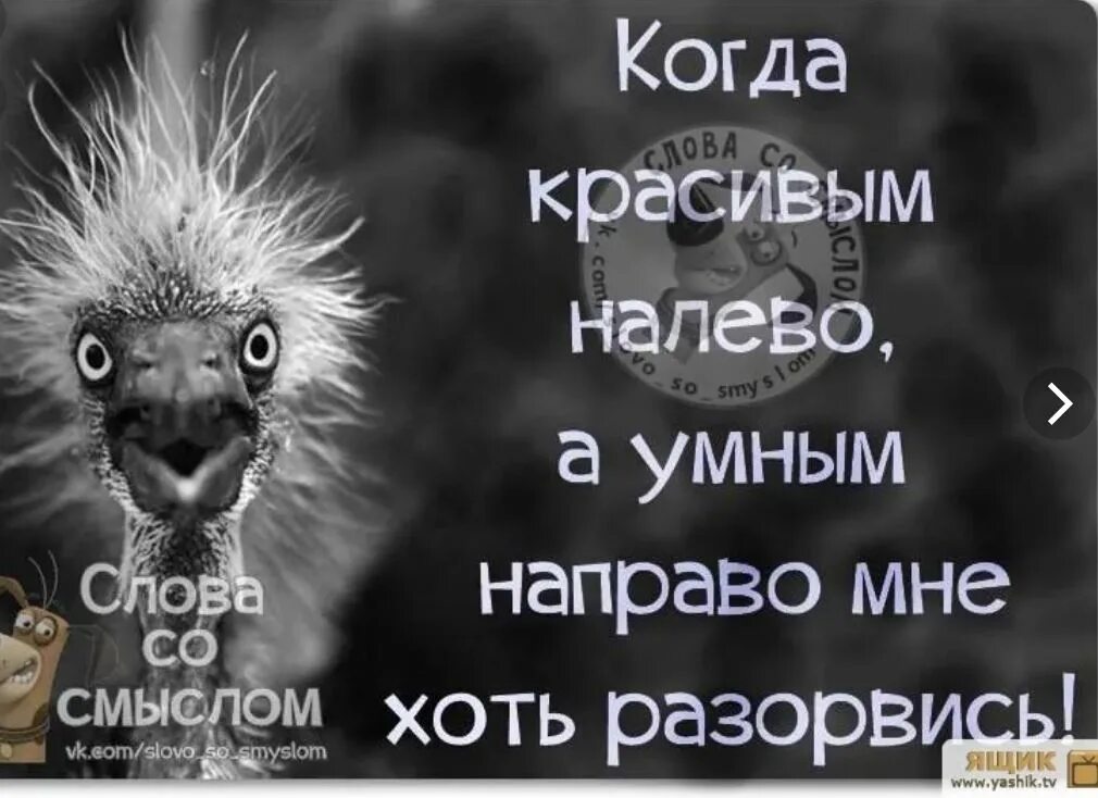 Поступи умней. Когда умным налево а красивым направо мне хоть разорвись. Умные налево красивые направо а мне хоть разорвись. Умные налево красивые направо. Когда красивым налево а умным.