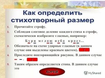 Определить размер стиха горе от ума