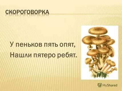 Пять ищи