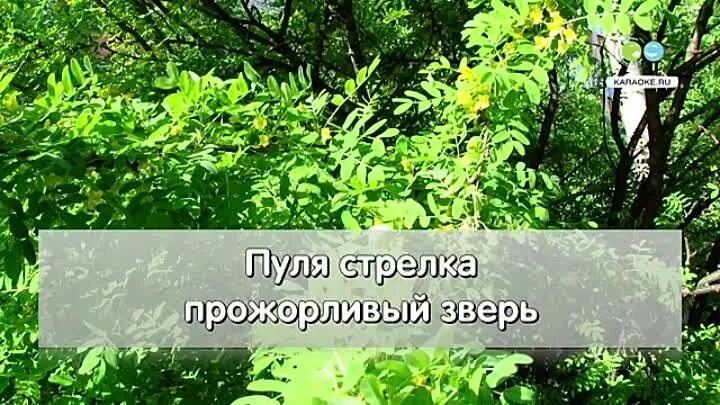 Песня я помню тот порт. В порту караоке. мы пришли сегодня в порт караоке.