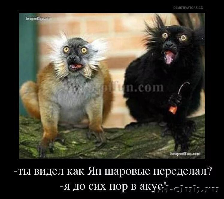Праздник после работы. Завтра на работу демотиватор. завтра уже на работу. завтра на работу после праздников. завтра на работу после новогодних праздников.
