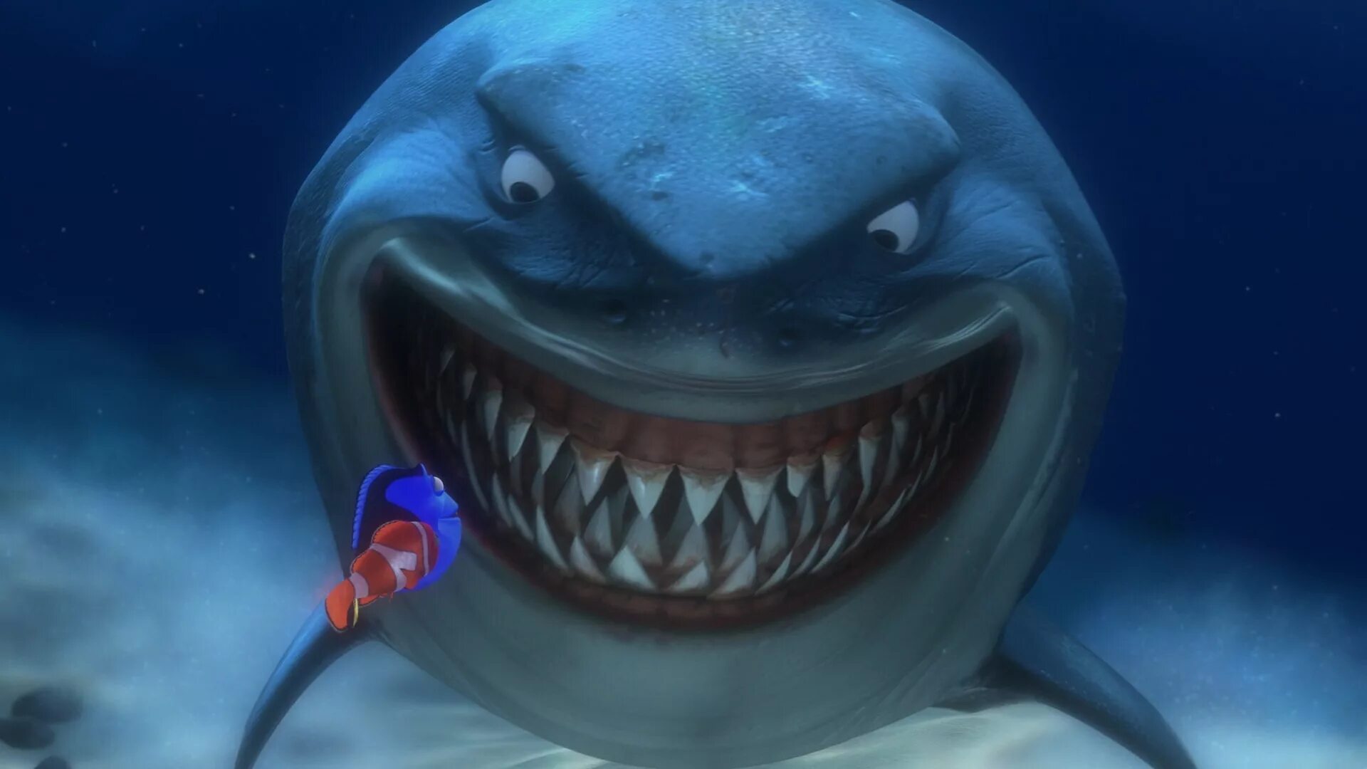 Постер "в поисках немо". Брюс в поисках немо. Акула из немо. Акула молот немо. В поисках немо акула.