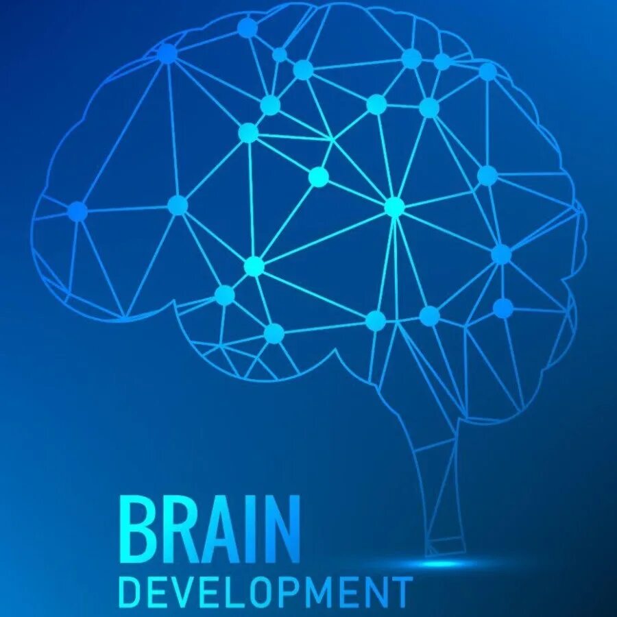 Brain development. Брейн девелопмент. нейронное кружево. neuromarketing 2025. brain development insights.