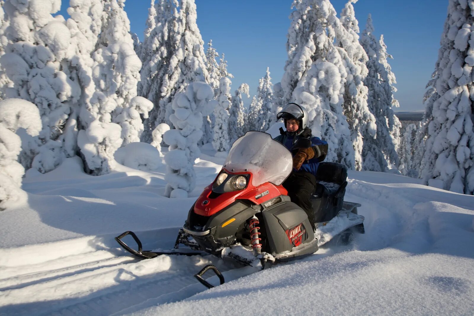 снегоход в горах. снегоход. хата в снегу. снегоход в лесу. горный снегоход полярис.