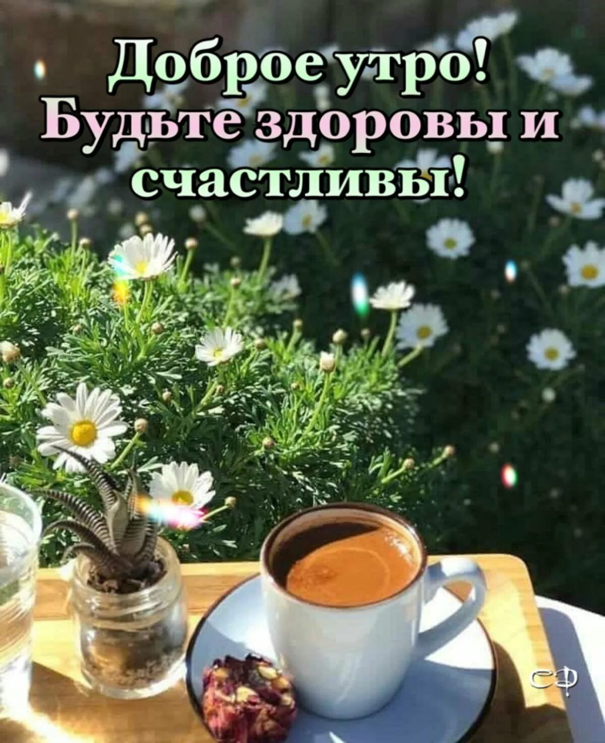 Доброго дня бодрого здоровья. Доброе утро здоровья. доброе утро здоровья и бодрости. доброе утро будьте здоровы. доброе утро будьте здоровы берегите себя.