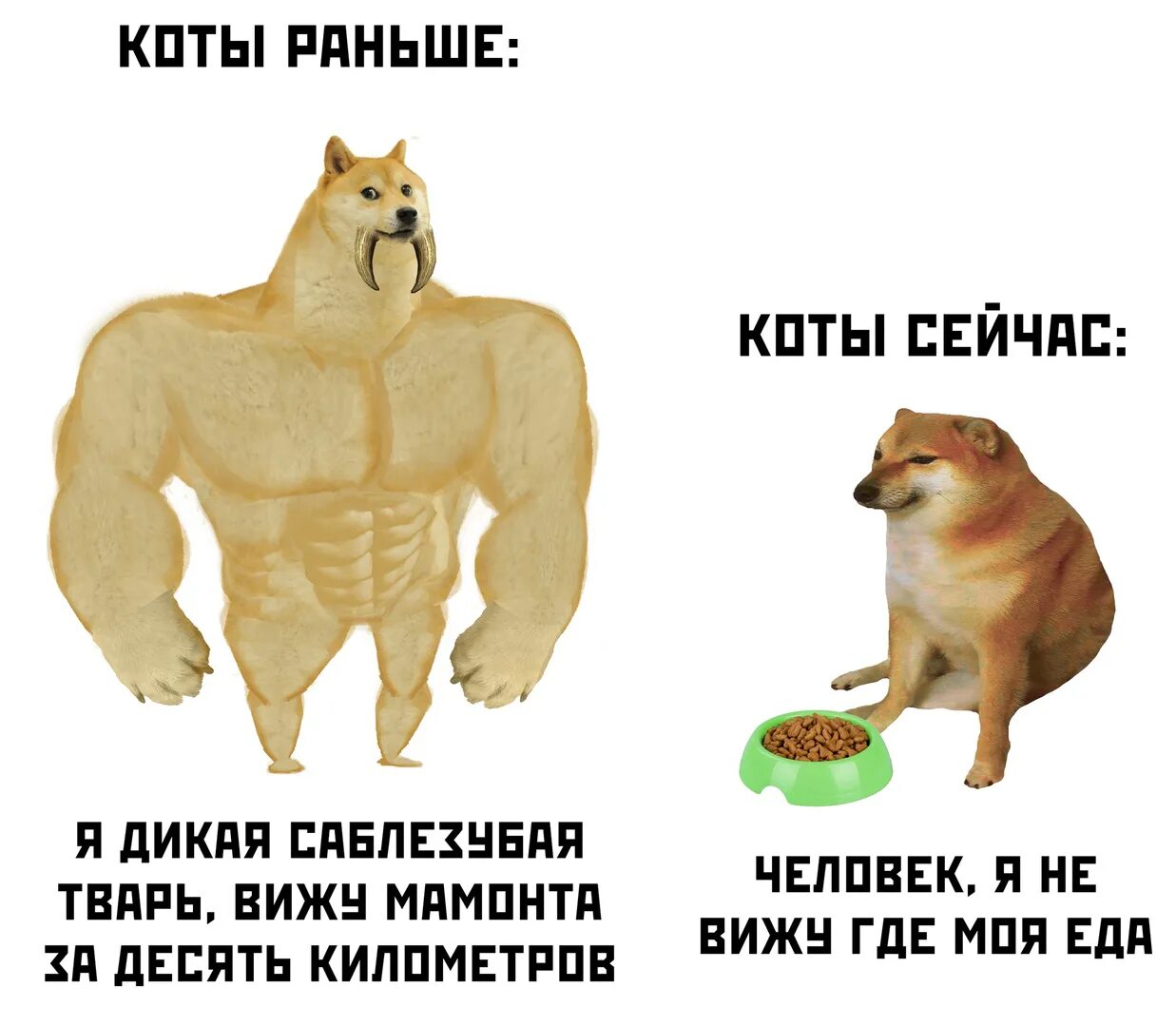 Сильнейший слабейший мем