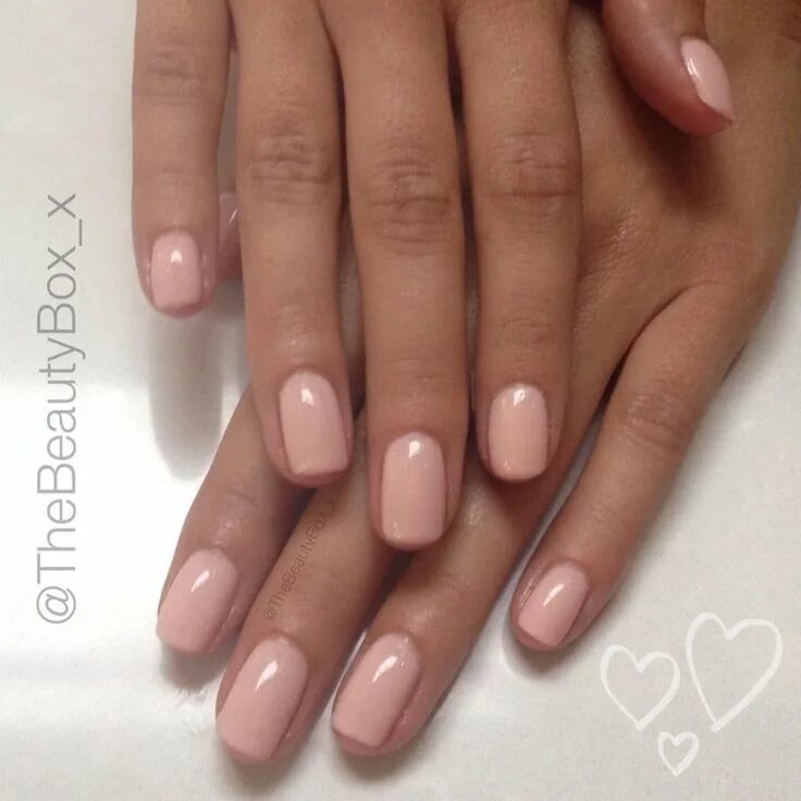 Tea Rose Nail polish, Nail polish collection, Nails