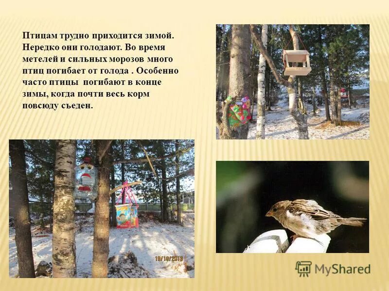 иллюстрации к стих некрасова мужичок с ноготок. сочинения на тему как я сделал кормушку. зимняя пора. в зимнюю пору приходится трудно. стихотворение крестьянские дети.