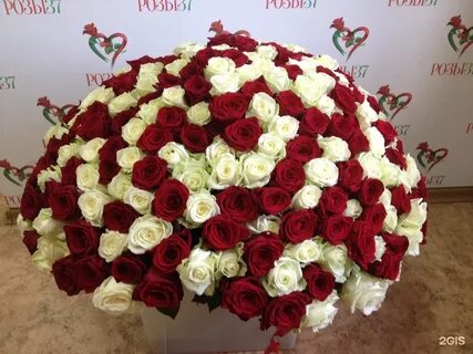Розы 37