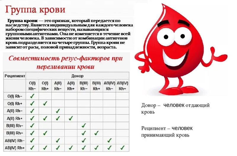 Группа крови. Самые распространённые группы крови. Самая распространенная группа крови. Какая самая распространённая группа крови. Распространенность групп крови