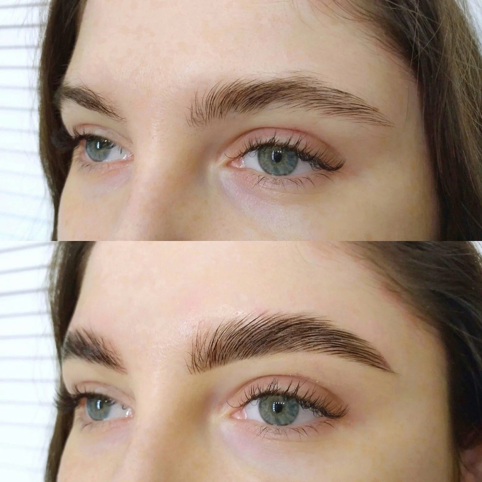 Ламинирование и покраска бровей. Ламинирование и окрашивание бровей. Ламинирование и окрашивание бровей. Ламинирование бровей без окрашивания. Ламинирование бровей до и после с окрашиванием.