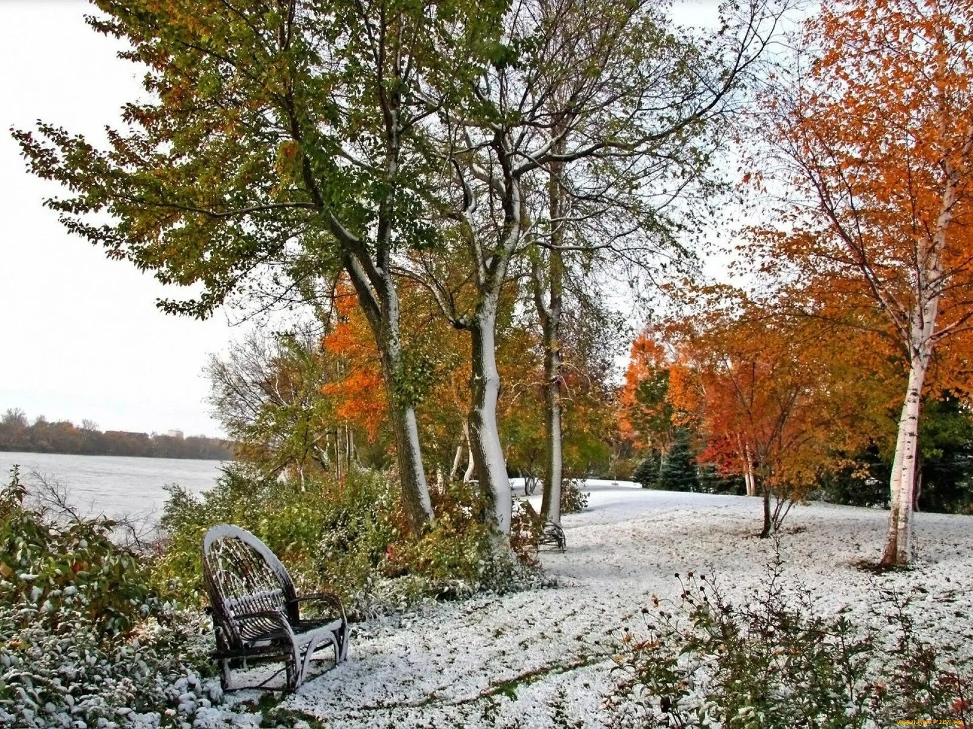 Ноябрь фото. Поздняя осень. Ранняя зима. Конец осени. С зимой с первым снегом