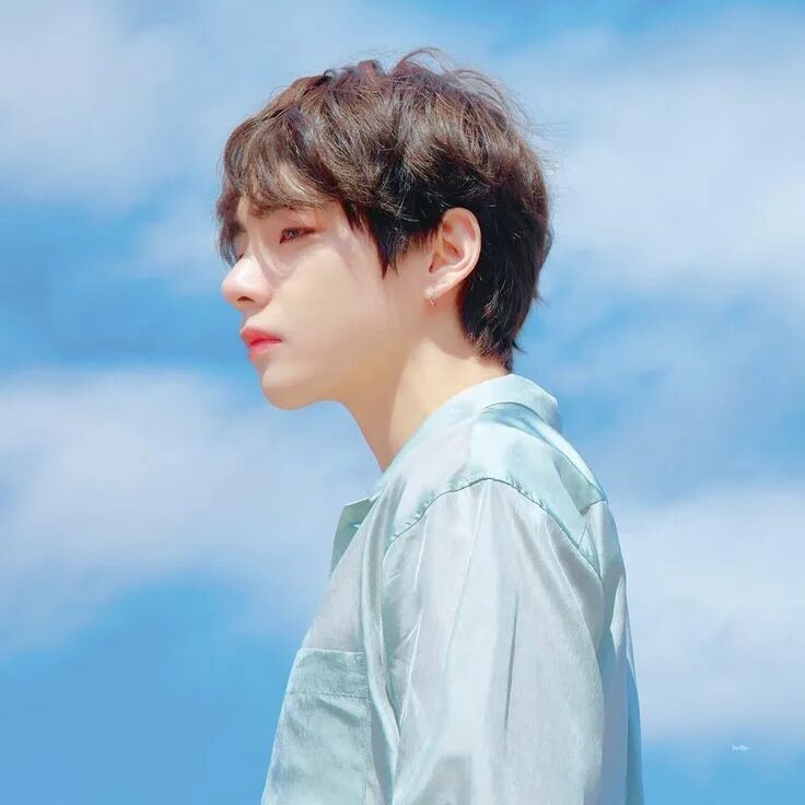 Bts v park seo joon