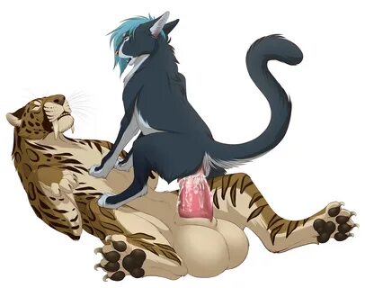 Slideshow feral cat porn.