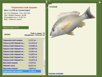 Snapper перевод
