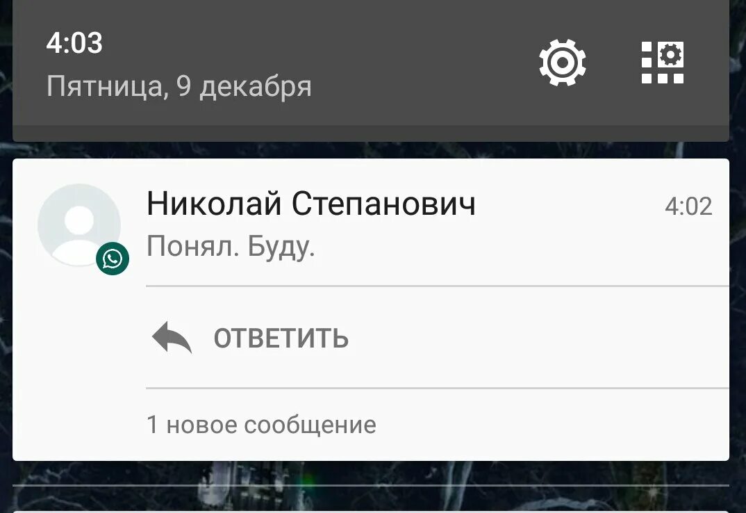 Почему ватсап одна галочка при отправке сообщения. Галочки в ватсапе. Уведомление галочками в ватсап. Одна галочка в WHATSAPP что значит. Ватсап галочки в сообщениях.