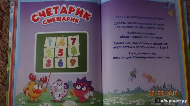 Смешарики учимся читать взломанный. Книжка смешариков счетарик. читарик смешарик. академия смешариков. смешарики лабиринт книга.
