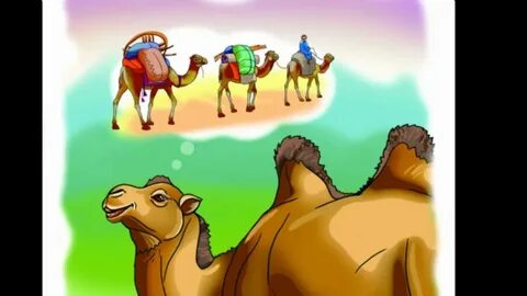 Фотодағы ең жақсы порно