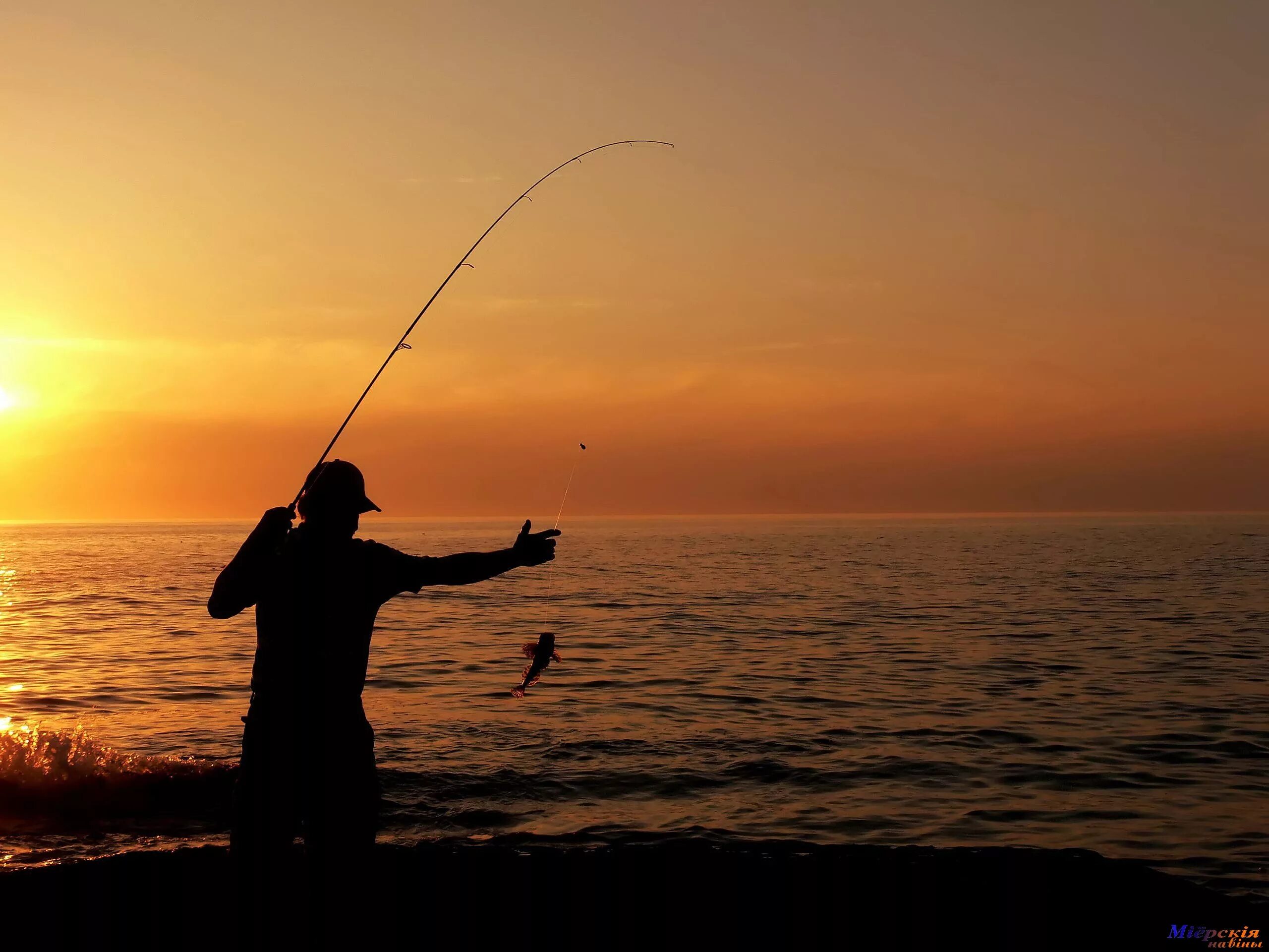 Красивая ловля. Рыбак на рыбалке. Рыбалка фото. Рыбак со спины. Лето рыбалка.