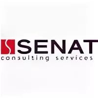 Wss consulting