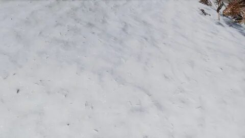 Снег 2 д