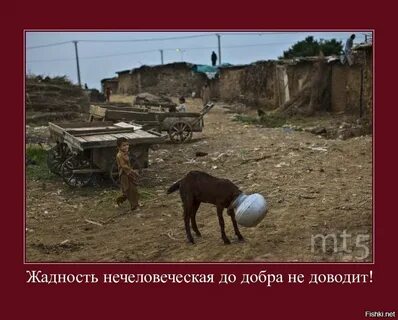 До добра не доведет смысл