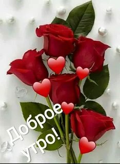 Цветы для любимой с добрым утром