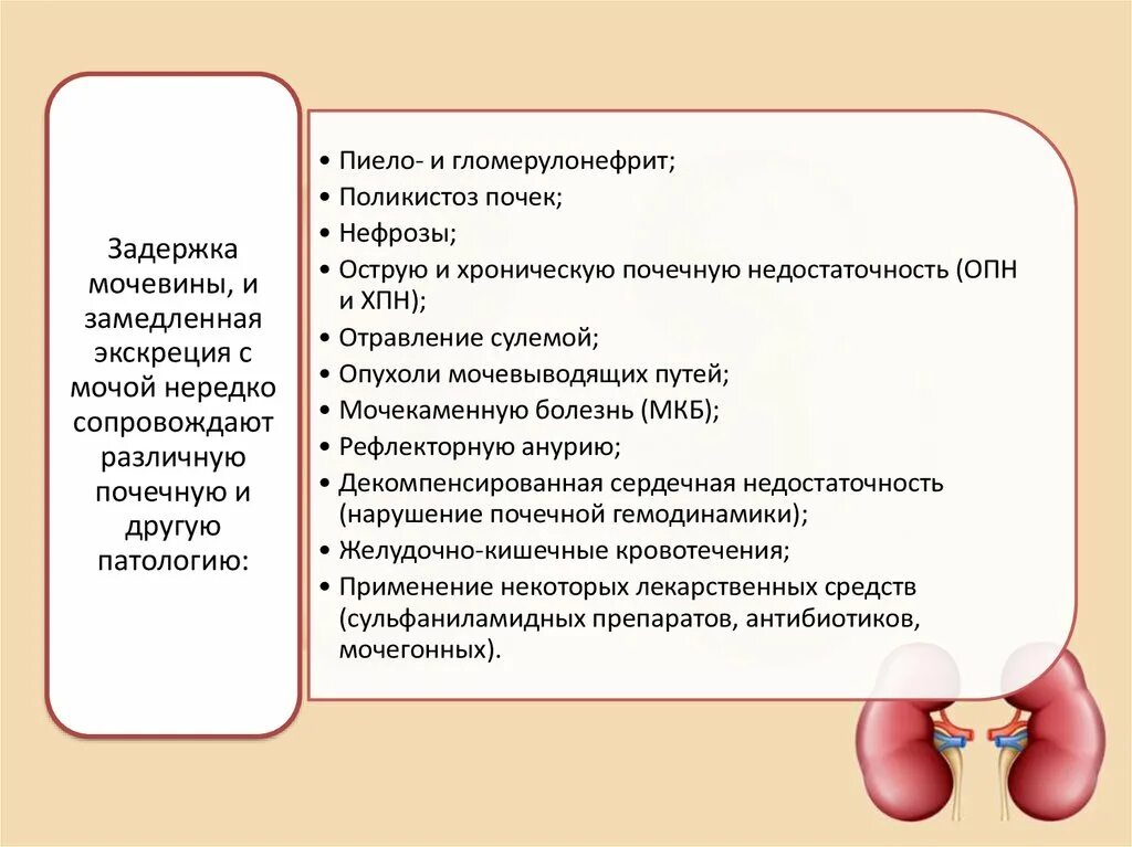 Лабораторная диагностика почек. Диагностика заболеваний почек. Методы диагностики болезней почек. Методы диагностики при заболеваниях почек.