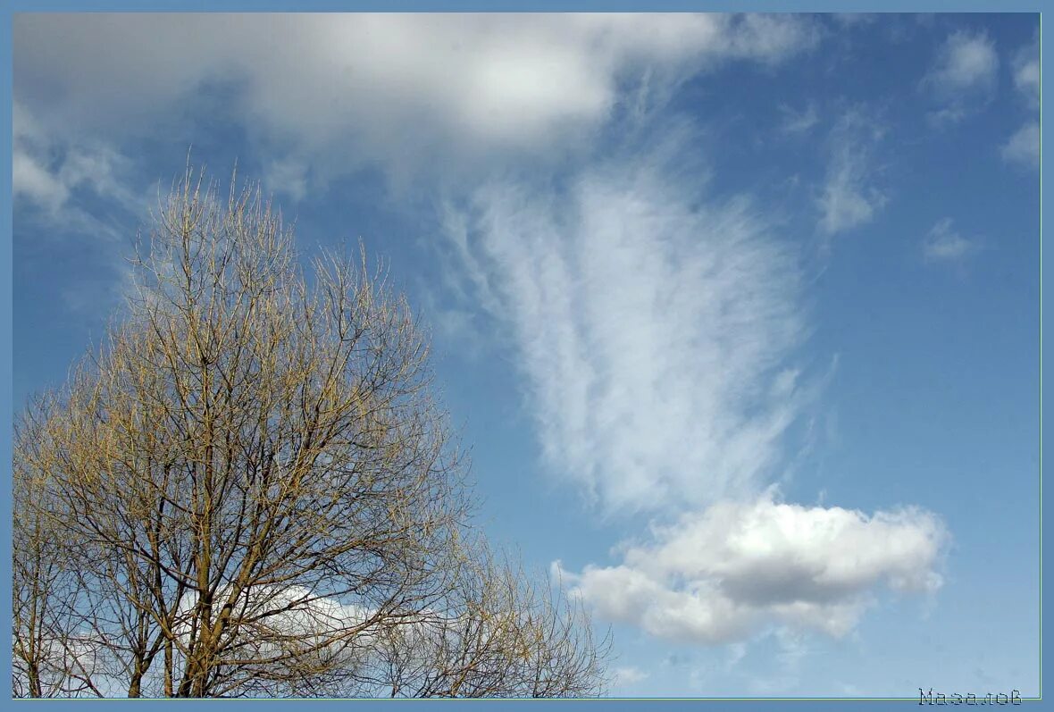 кучевые облака осенью. небо. весеннее небо. голубое весеннее небо. облако весны.