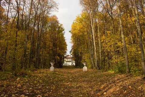 Подслушано болдино нижегородской