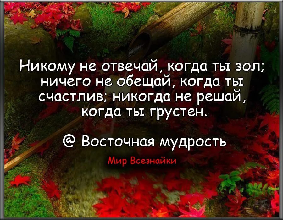 Никогда не было цитат. Восточная мудрость цитаты. никому ничего не обещай когда ты счастлив. ничего не обещай когда ты счастлив цитаты. цитата никогда не.