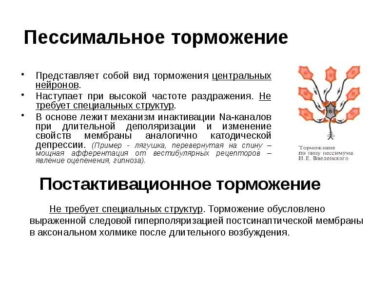 Затяжное торможение. Затяжное торможение