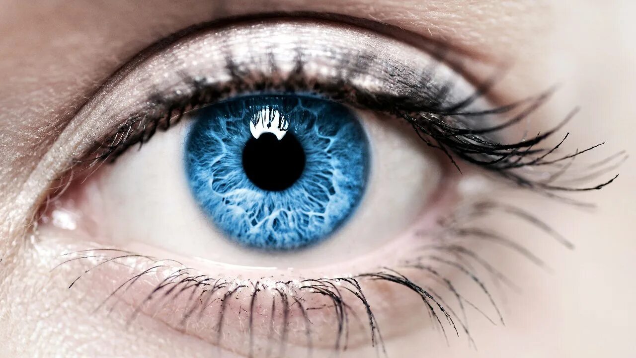 Blue eyed people. Синие глаза. Голубые глаза. Голубые глаза. Голубо-серые глаза у мужчин.
