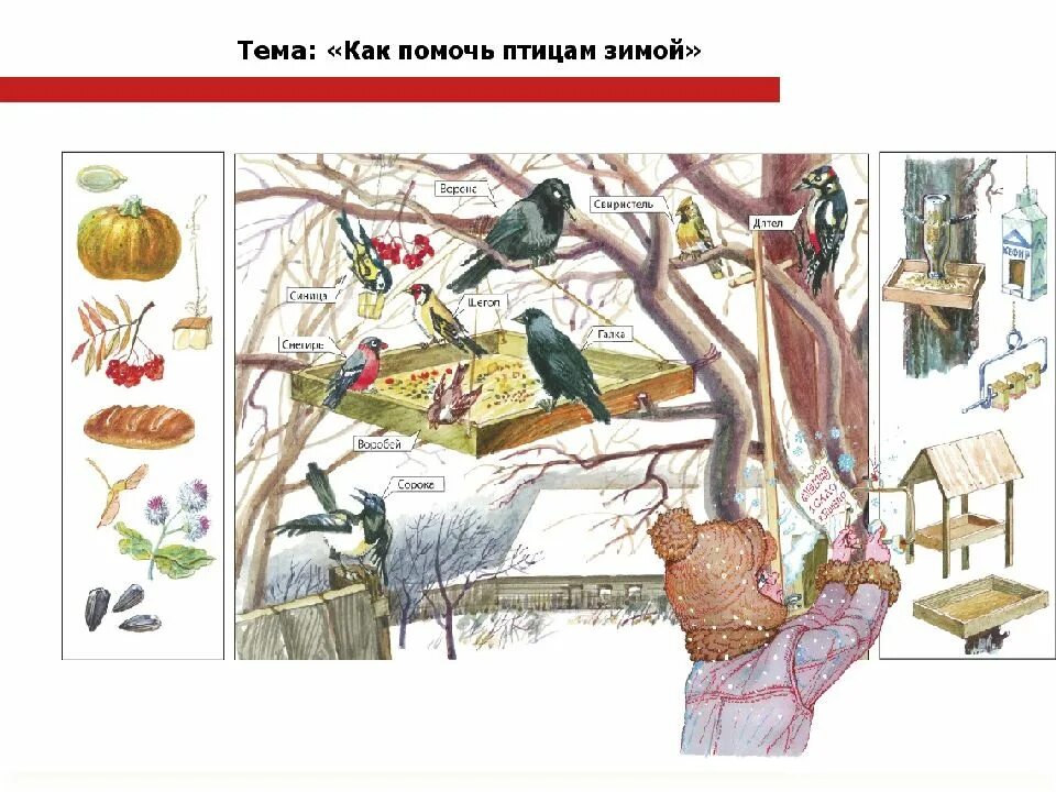 Как помочь животным в зимнее время рисунок