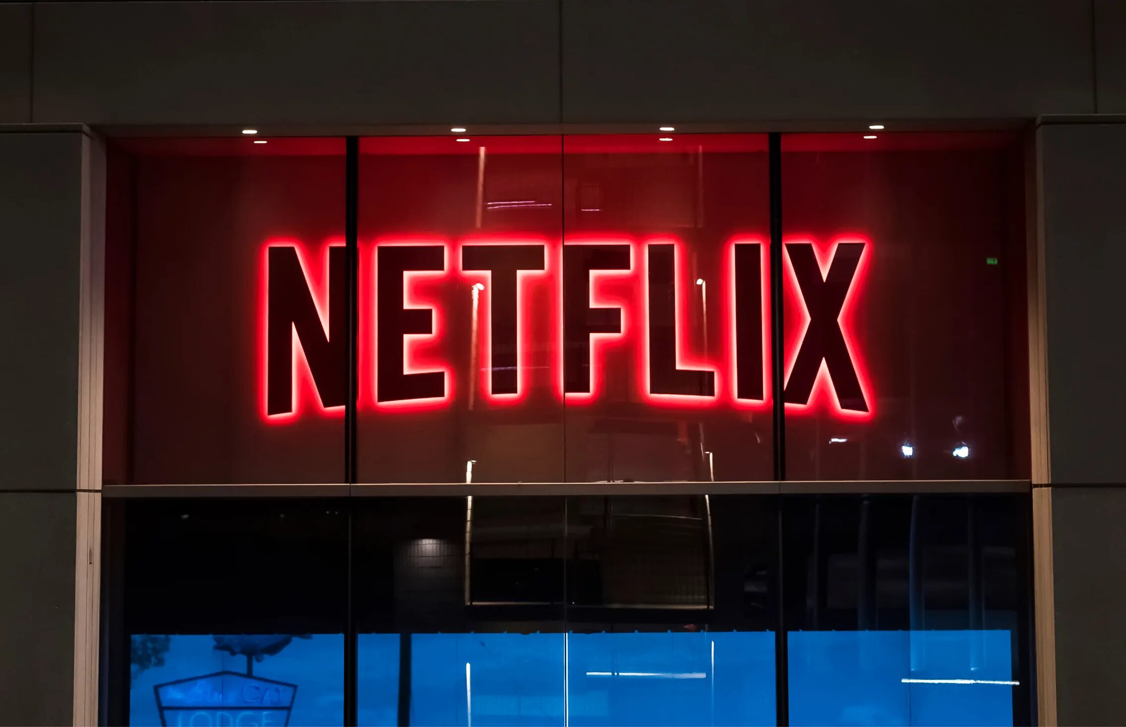 Нетфликс фото здания. Нетфиксфото. Netflix usa. Нетфликс начало видео. Netflix новые.