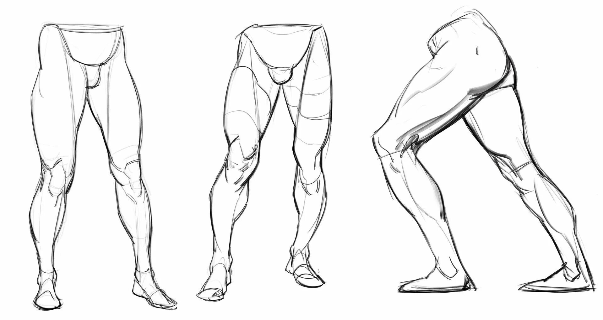 Leg art. Референс бедра анатомия. Нога сбоку референс. Нога спереди референс.
