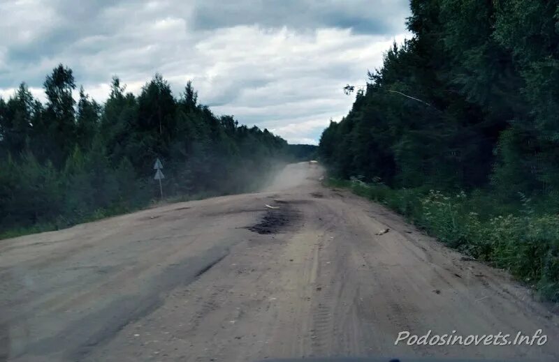 Подосиновец жизнь. Подосиновец жизнь