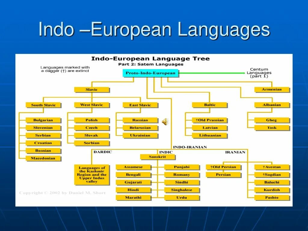 Indo European languages. Indo European languages Tree. Indo European language Family. Indo European языки. Языки входящие в группу индоевропейских