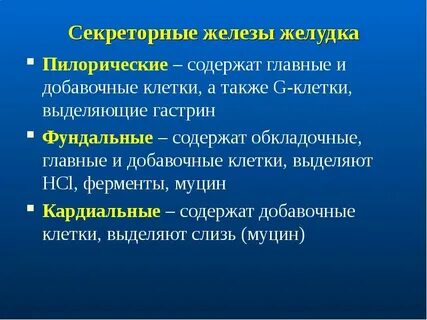 Функция желез желудка